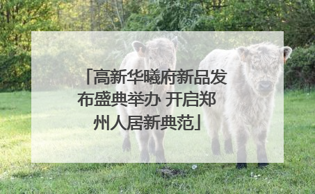 高新华曦府新品发布盛典举办 开启郑州人居新典范