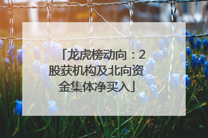 龙虎榜动向：2股获机构及北向资金集体净买入