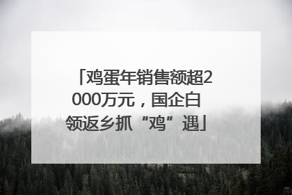 鸡蛋年销售额超2000万元，国企白领返乡抓“鸡”遇