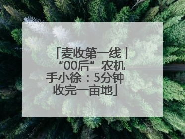 麦收第一线丨“00后”农机手小徐：5分钟收完一亩地