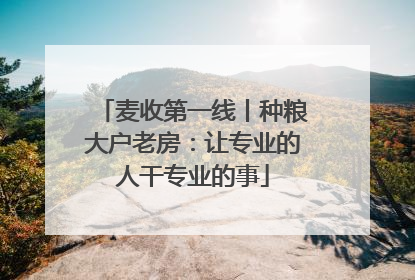 麦收第一线丨种粮大户老房：让专业的人干专业的事