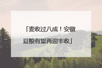 麦收过八成！安徽夏粮有望再迎丰收