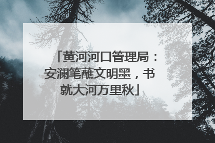 黄河河口管理局：安澜笔蘸文明墨，书就大河万里秋