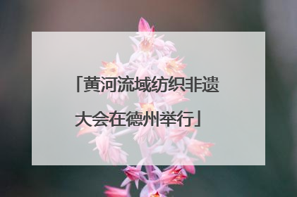 黄河流域纺织非遗大会在德州举行