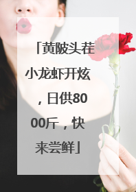 黄陂头茬小龙虾开炫，日供8000斤，快来尝鲜