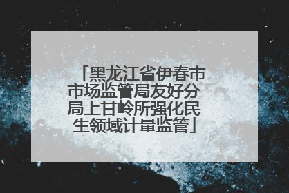 黑龙江省伊春市市场监管局友好分局上甘岭所强化民生领域计量监管