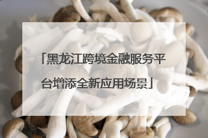 黑龙江跨境金融服务平台增添全新应用场景
