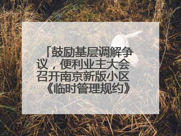 鼓励基层调解争议，便利业主大会召开南京新版小区《临时管理规约》征求意见