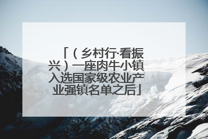 （乡村行·看振兴）一座肉牛小镇入选国家级农业产业强镇名单之后