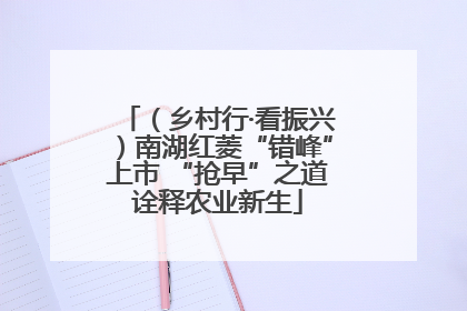 （乡村行·看振兴）南湖红菱“错峰”上市 “抢早”之道诠释农业新生