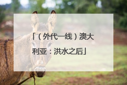 （外代一线）澳大利亚：洪水之后