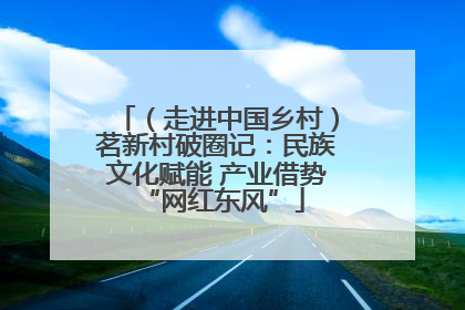 （走进中国乡村）茗新村破圈记：民族文化赋能 产业借势 “网红东风”