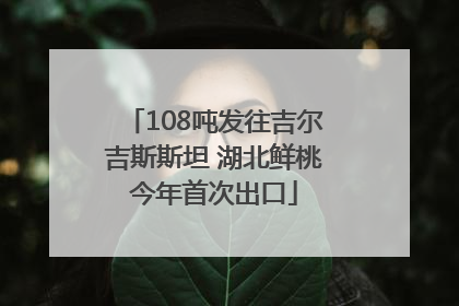 108吨发往吉尔吉斯斯坦 湖北鲜桃今年首次出口