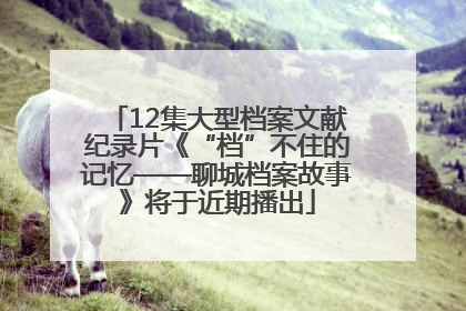 12集大型档案文献纪录片《“档”不住的记忆——聊城档案故事》将于近期播出
