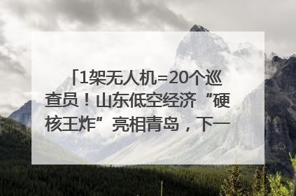 1架无人机=20个巡查员！山东低空经济“硬核王炸”亮相青岛，下一个万亿赛道藏在这里