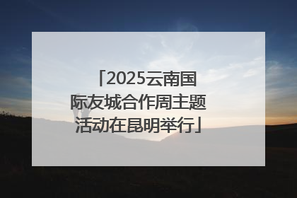 2025云南国际友城合作周主题活动在昆明举行