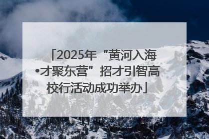 2025年“黄河入海•才聚东营”招才引智高校行活动成功举办