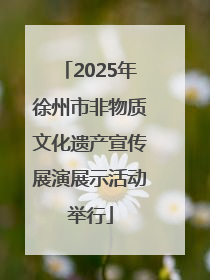 2025年徐州市非物质文化遗产宣传展演展示活动举行