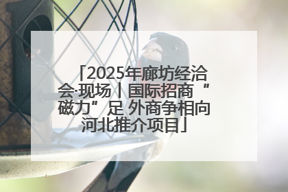 2025年廊坊经洽会·现场丨国际招商“磁力”足 外商争相向河北推介项目