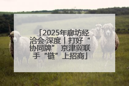 2025年廊坊经洽会·深度丨打好“协同牌” 京津冀联手“链”上招商