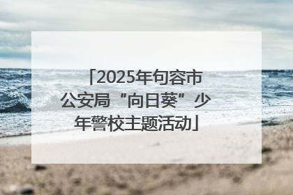 2025年句容市公安局“向日葵”少年警校主题活动