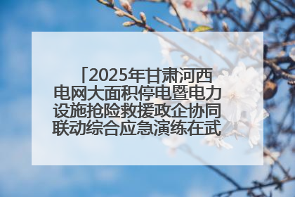 2025年甘肃河西电网大面积停电暨电力设施抢险救援政企协同联动综合应急演练在武威成功举行
