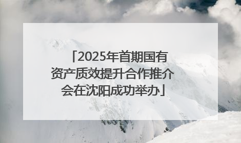 2025年首期国有资产质效提升合作推介会在沈阳成功举办