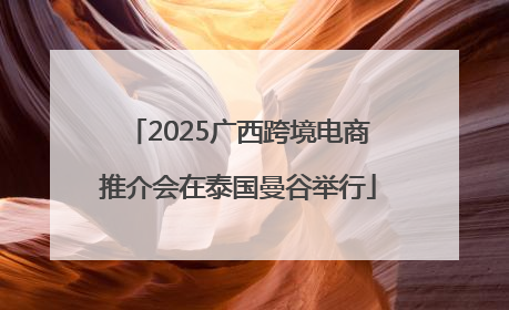 2025广西跨境电商推介会在泰国曼谷举行