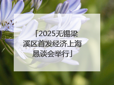 2025无锡梁溪区首发经济上海恳谈会举行