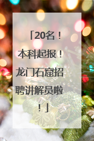 20名！本科起报！龙门石窟招聘讲解员啦！