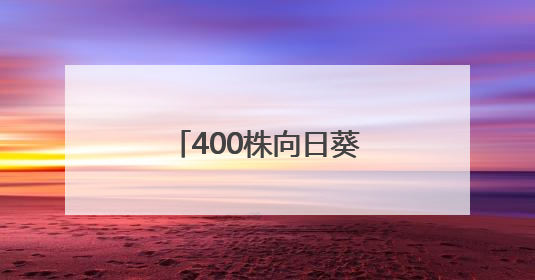 400株向日葵空降武汉校园