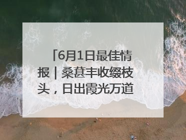 6月1日最佳情报｜桑葚丰收缀枝头，日出霞光万道蓬勃壮观！恭喜