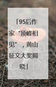 95后作家“顶峰相见”，黄山征文大奖揭晓