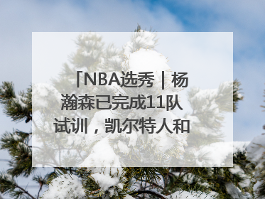 NBA选秀｜杨瀚森已完成11队试训，凯尔特人和太阳更适合他