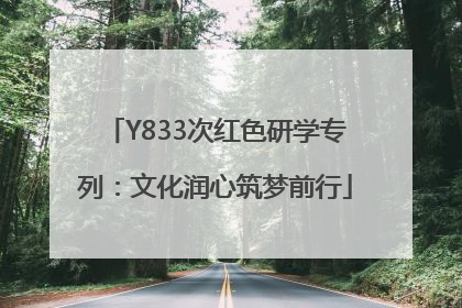 Y833次红色研学专列：文化润心筑梦前行